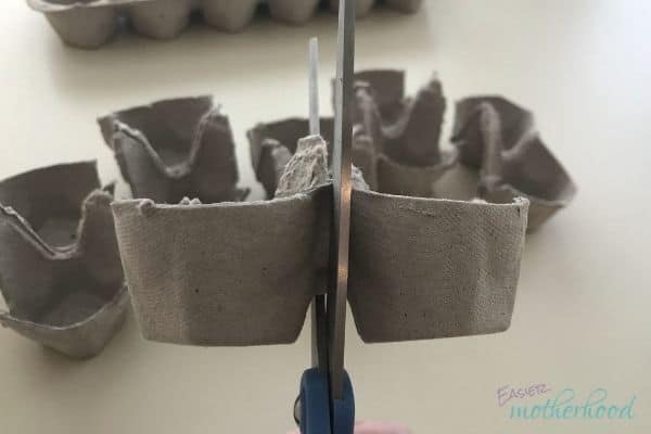 In process egg carton craft during 5th cut