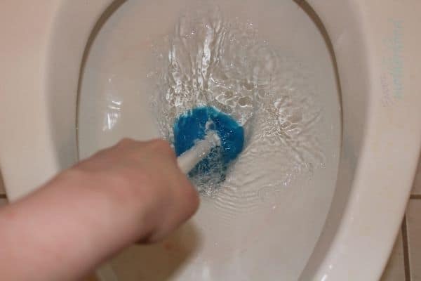 actively doing the toilet cleaning hack- pushing water past the p trap of a toilet using the toilet brush